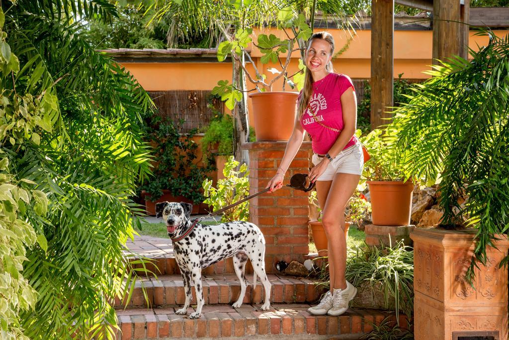 Antica Palmieri 3* Rom